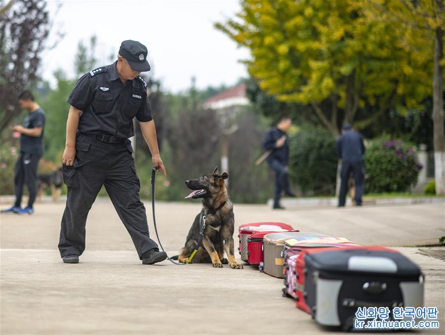 （社会）（4）我国首只警用工作克隆犬“昆勋”入警