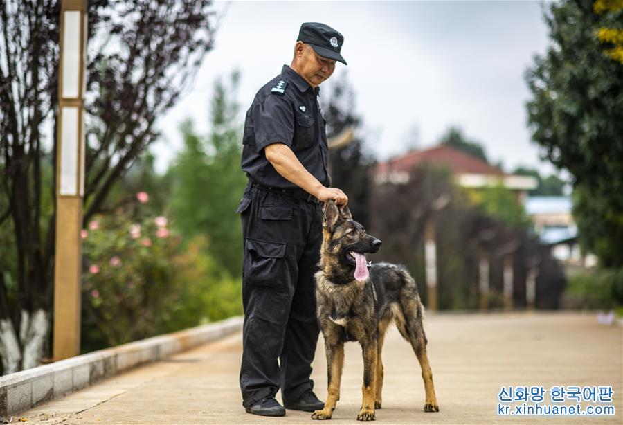 （社会）（3）我国首只警用工作克隆犬“昆勋”入警