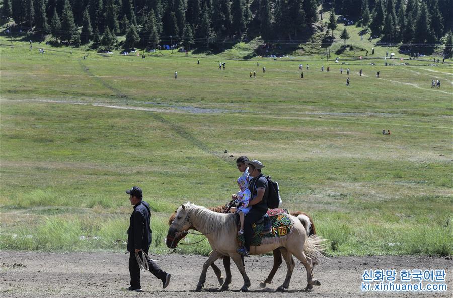 （社会）（11）新疆：旅游热潮助力百姓就业