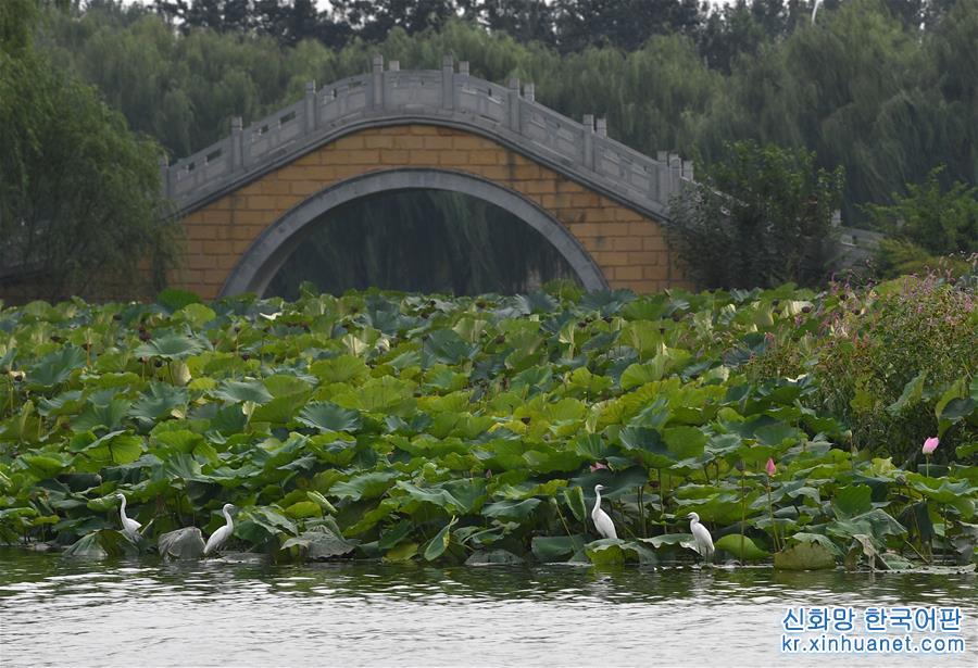 （新华网）（4）京杭大运河通州段掠影