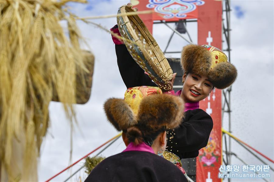 （社会）（3）西藏欢庆“丰收节”
