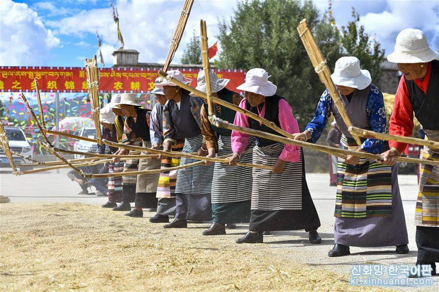 （社会）（6）西藏欢庆“丰收节”