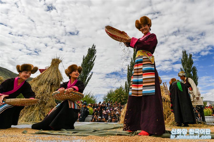 （社会）（4）西藏欢庆“丰收节”