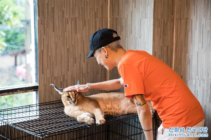 （国际）（3）探访曼谷动物咖啡馆 