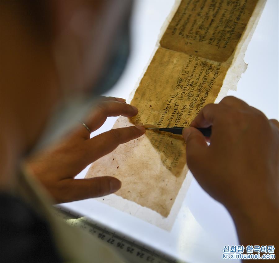 （文化）（2）西藏修復3000余頁珍貴瀕危古籍文獻