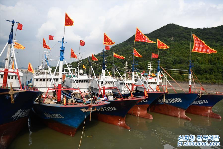 （社会）（1）浙江：渔民庆典迎开渔