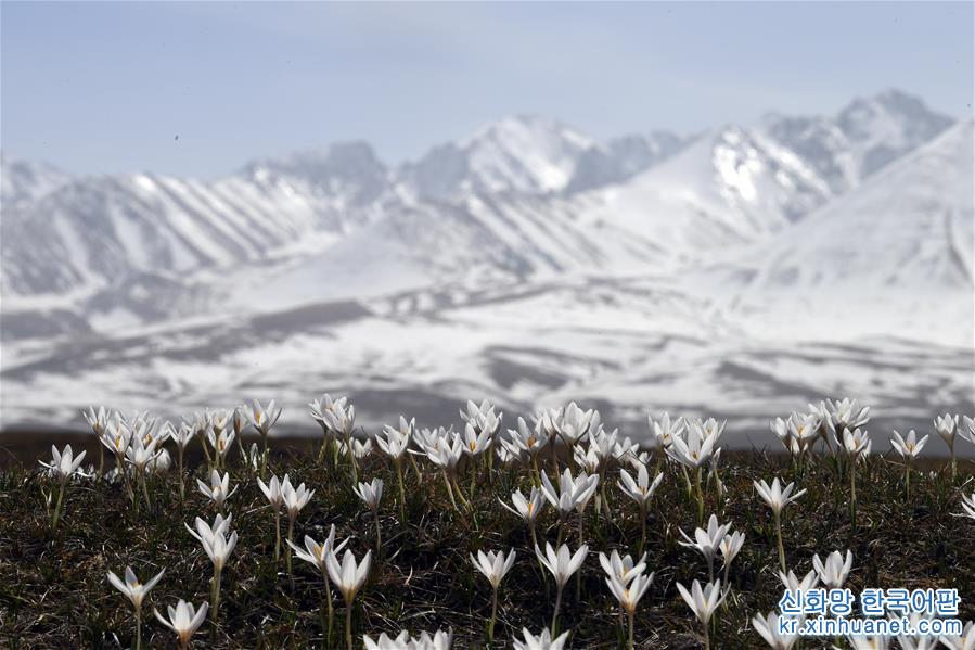 （北京世园会）（11）生态中国·壮美山河瞰新疆
