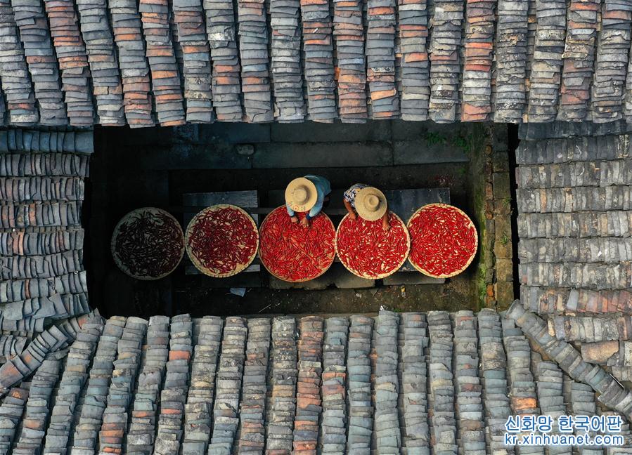 #（社会）（6）迎接“中国农民丰收节”