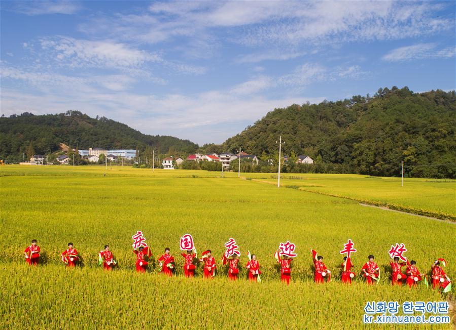 （经济）（2）山村生态稻米迎丰收