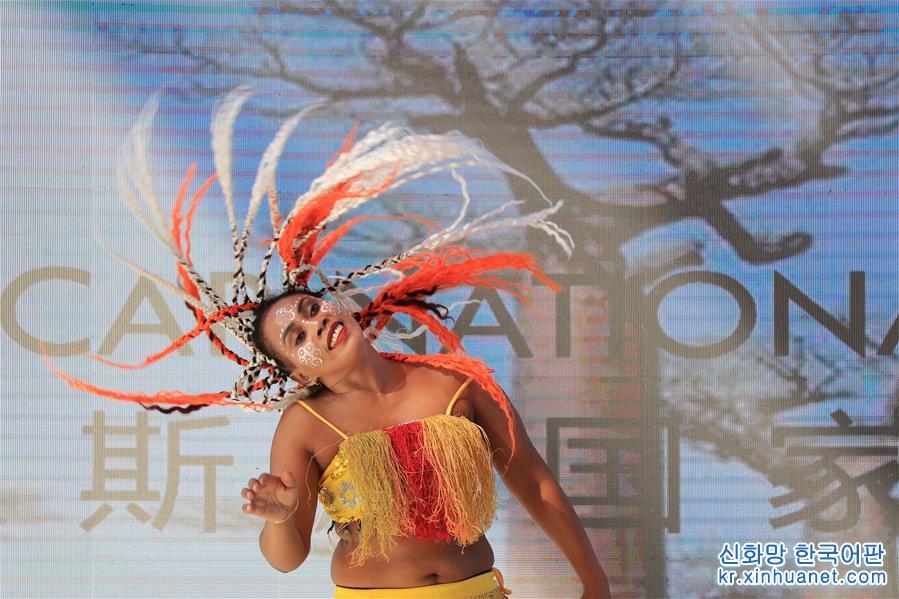 （北京世園會）（1）北京世園會迎來“馬達加斯加國家日”
