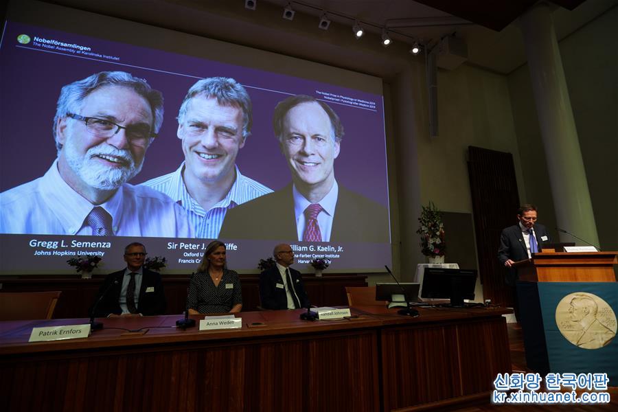 （国际）（5）三名科学家分享2019年诺贝尔生理学或医学奖