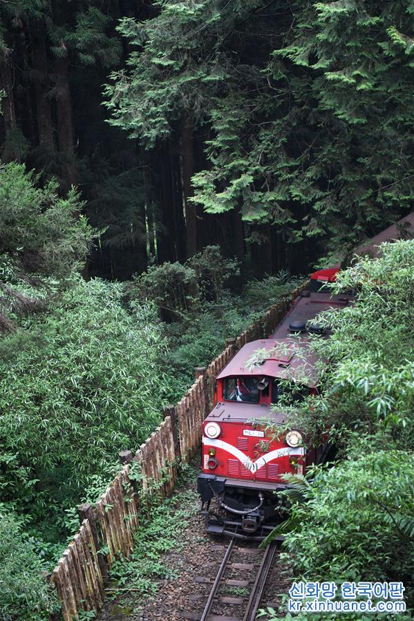 （社会）（2）阿里山森林小火车