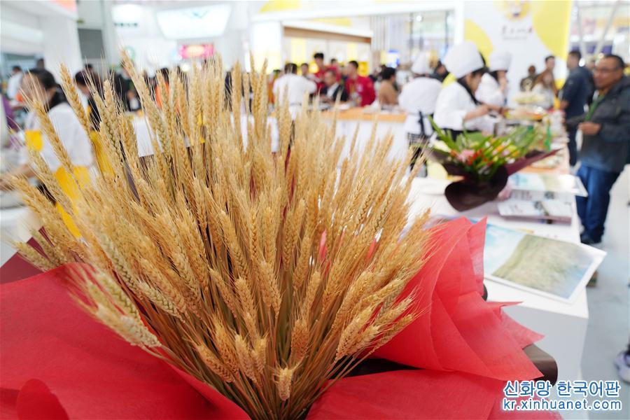 （經濟）（3）“稻米飄香世界”——黑龍江國際大米節開幕