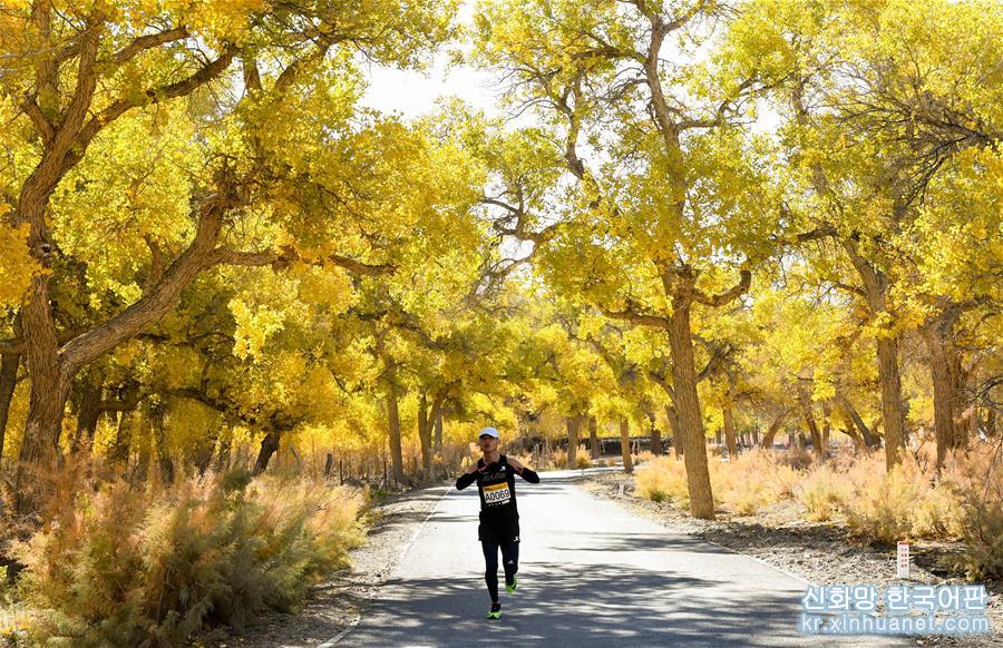 （新华视界）（1）马拉松——内蒙古额济纳穿越胡杨林国际马拉松赛开赛