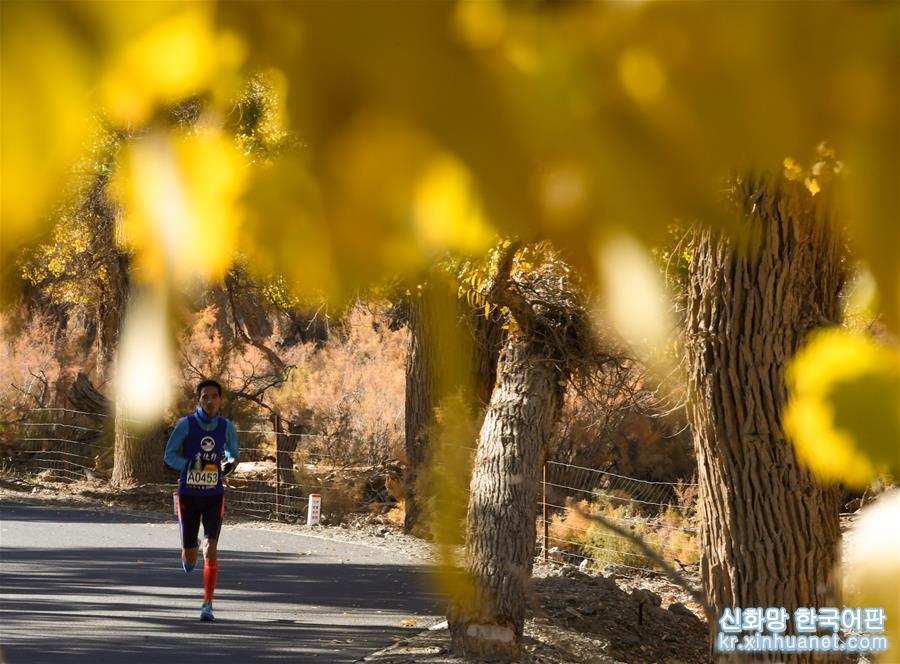 （新华视界）（6）马拉松——内蒙古额济纳穿越胡杨林国际马拉松赛开赛