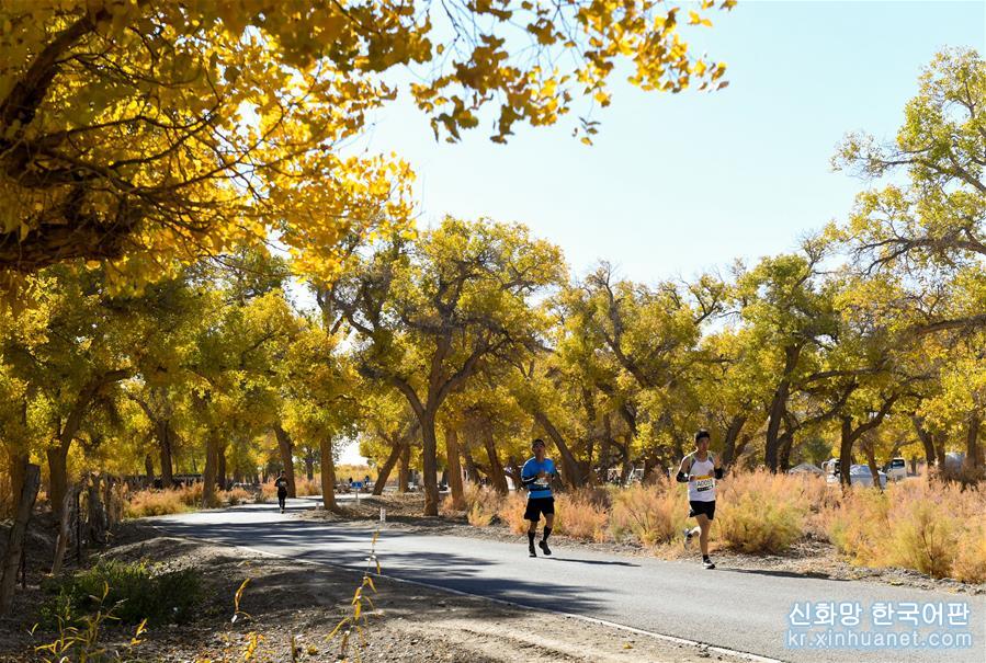 （新华视界）（5）马拉松——内蒙古额济纳穿越胡杨林国际马拉松赛开赛