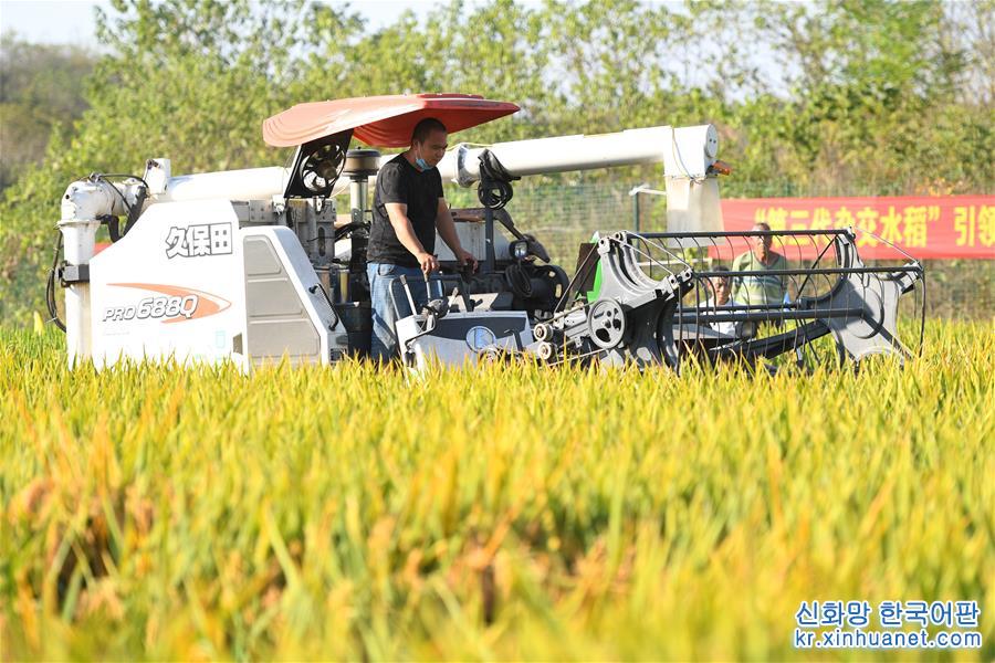 （图文互动）（7）1046.3公斤！袁隆平第三代杂交水稻首次公开测产