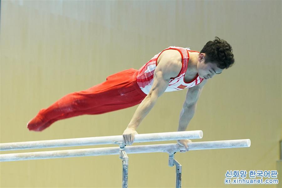 （军运会）（5）体操——男子团体决赛：中国队夺冠