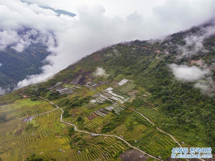 （美丽中国）（1）西藏墨脱：“莲花秘境”风景怡人