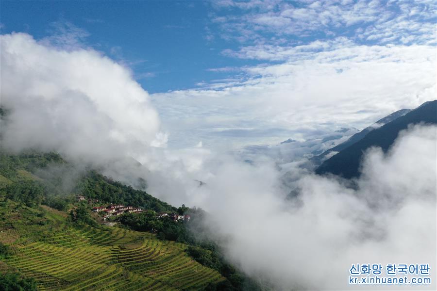 （美丽中国）（6）西藏墨脱：“莲花秘境”风景怡人