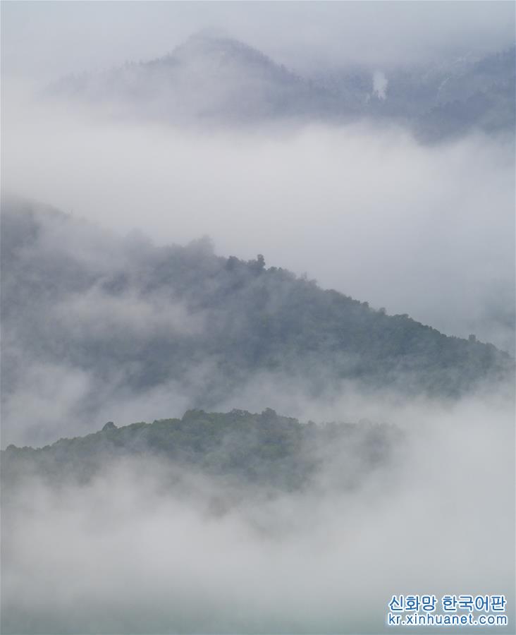 （美丽中国）（7）西藏墨脱：“莲花秘境”风景怡人