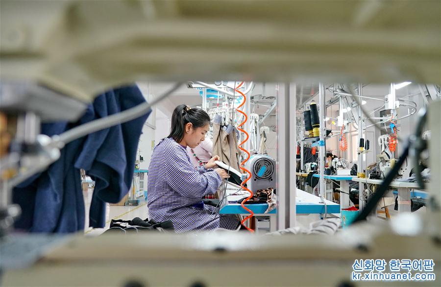（2）河北肃宁：针纺产业助力县域经济发展