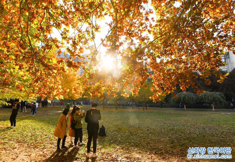 （美丽中国）（1）北京：校园秋色如画