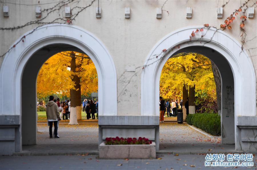 （美丽中国）（2）北京：校园秋色如画