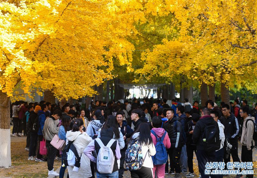 （美丽中国）（4）北京：校园秋色如画