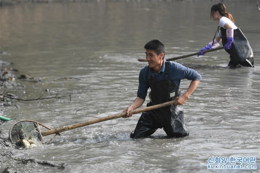 （社会）（2）杭州：游客体验“干塘”捕鱼