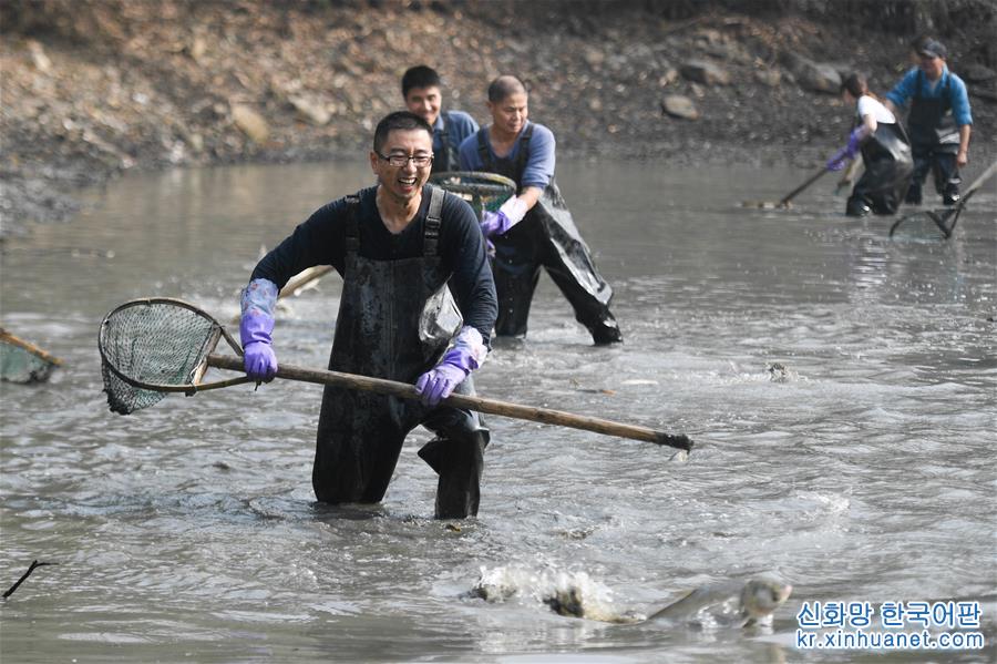 （社会）（3）杭州：游客体验“干塘”捕鱼