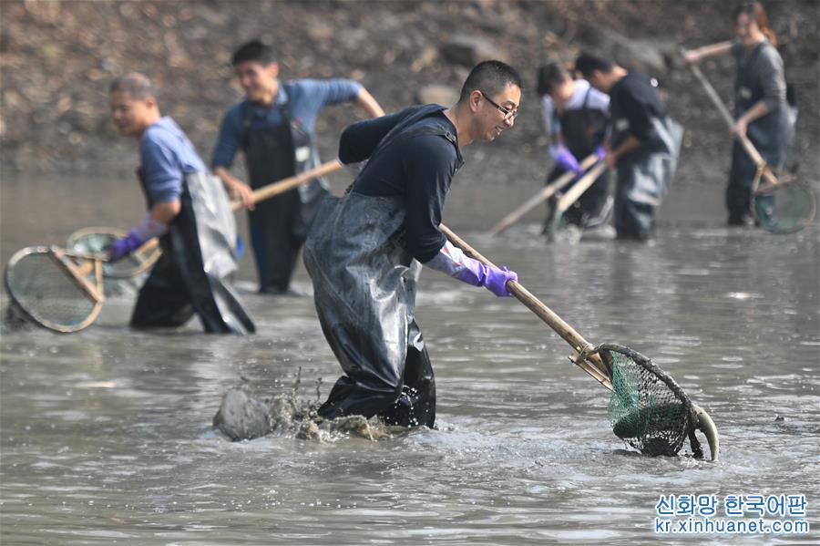 （社会）（4）杭州：游客体验“干塘”捕鱼