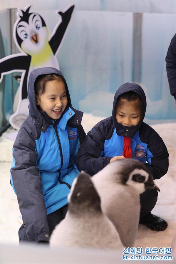 （社会）（2）广东珠海：小学生零距离接触帝企鹅