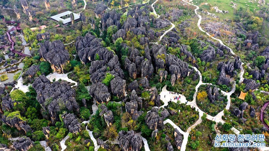 （环境）（1）云南：黑石箐石林生态美