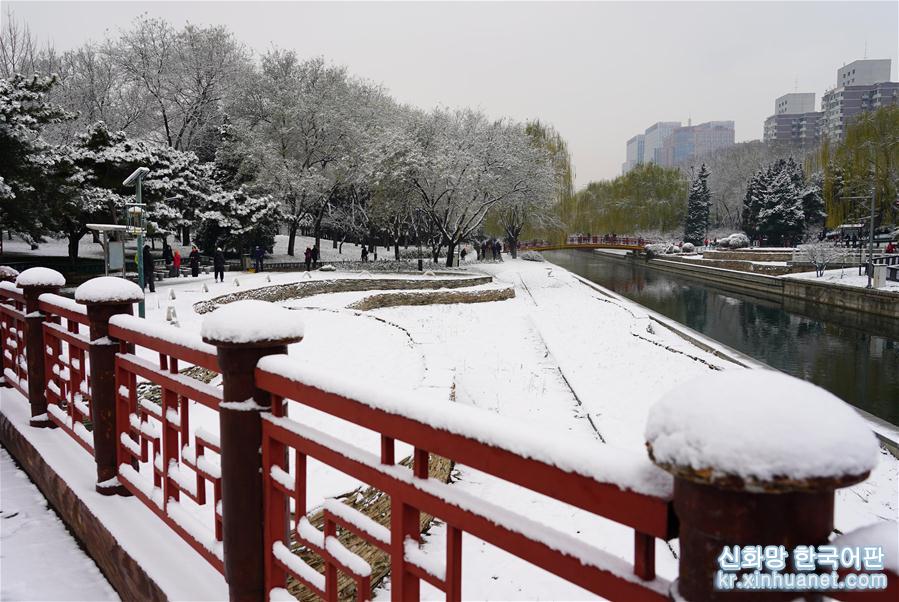 （社会）（11）雪映北京城