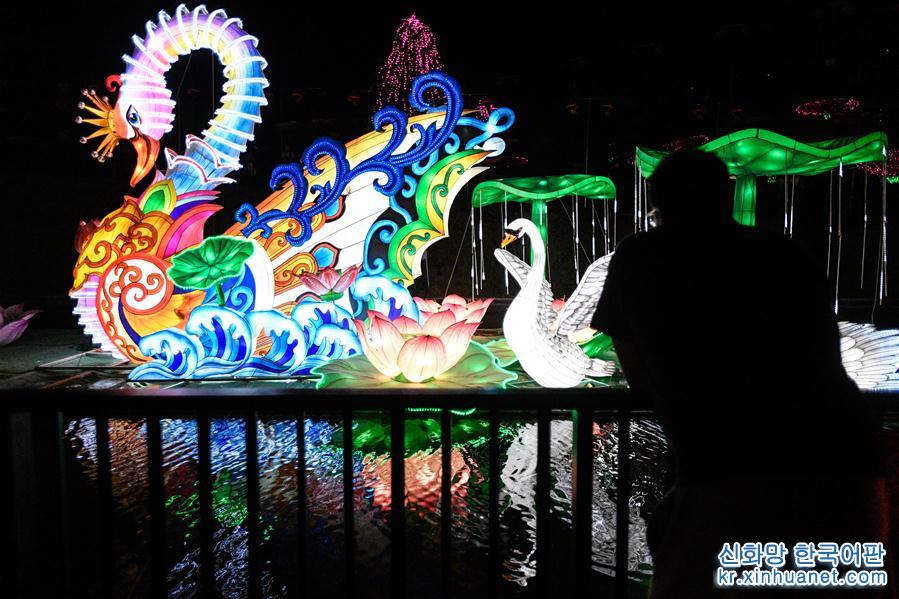 （国际·图文互动）（1）自贡彩灯营造圣地亚哥魅力中国夜