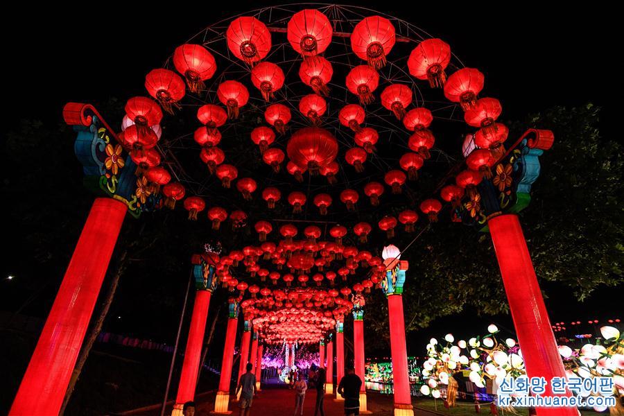 （国际·图文互动）（3）自贡彩灯营造圣地亚哥魅力中国夜