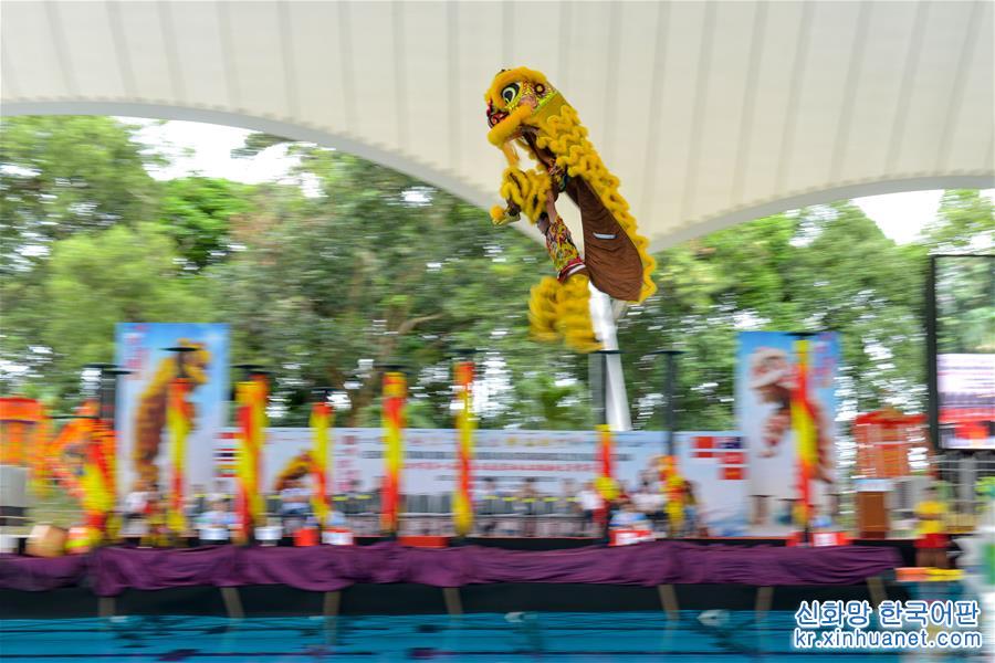 （国际）（1）水上跳桩狮王争霸赛