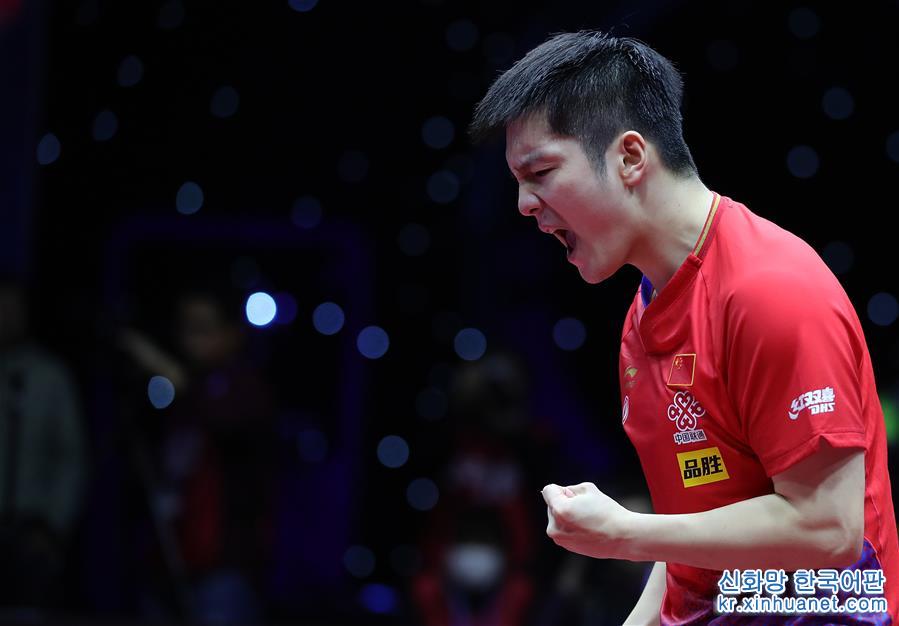 （体育）（6）乒乓球——国际乒联男子世界杯：樊振东夺冠