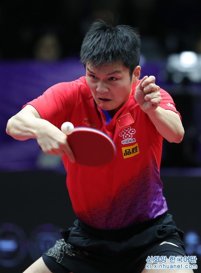 （体育）（15）乒乓球——国际乒联男子世界杯：樊振东夺冠