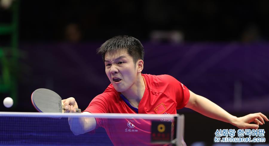 （体育）（18）乒乓球——国际乒联男子世界杯：樊振东夺冠