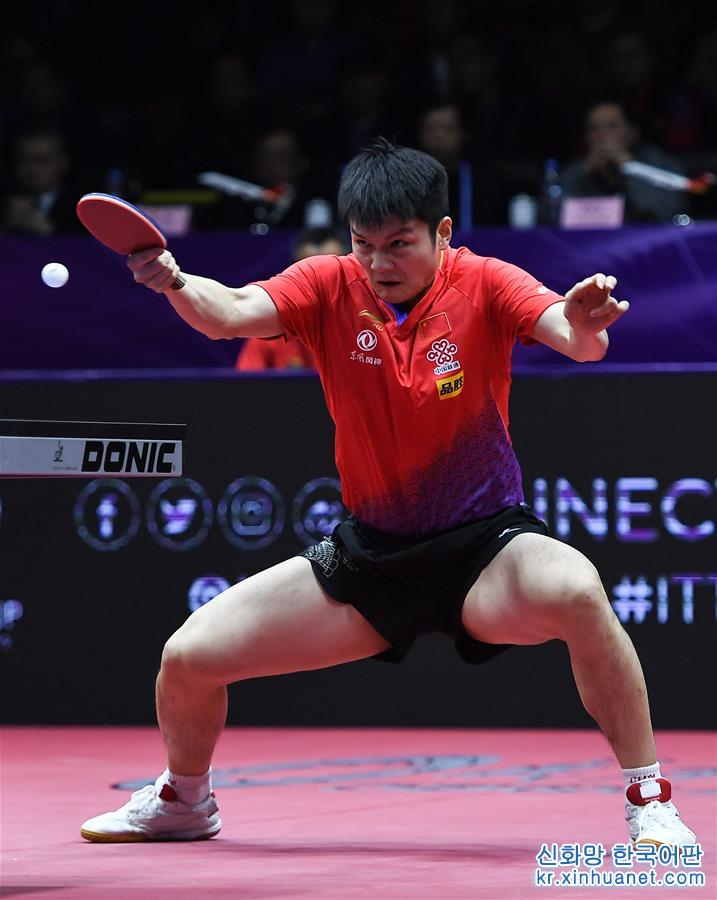 （体育）（21）乒乓球——国际乒联男子世界杯：樊振东夺冠