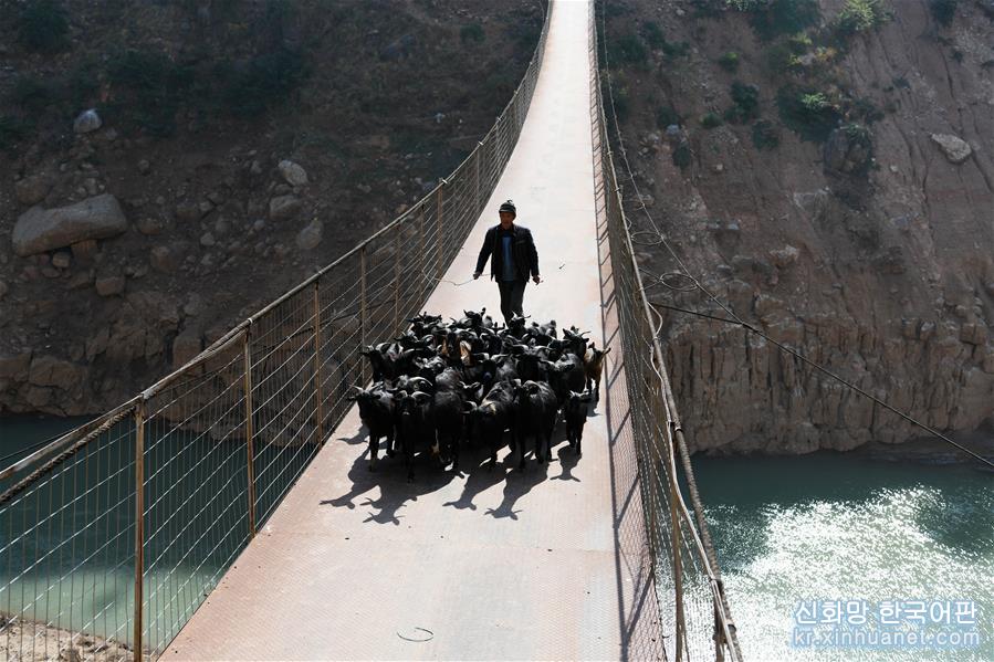 （新华视界）（4）乌蒙山区“溜索改桥”联通跨省致富路
