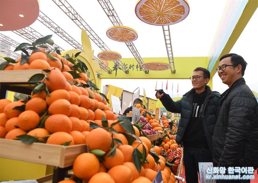 （經濟）（1）重慶奉節國際橙博會開幕