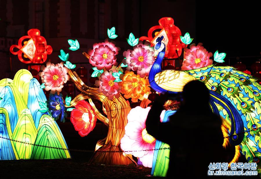 （国际）（7）中国彩灯点亮法国塞纳古堡