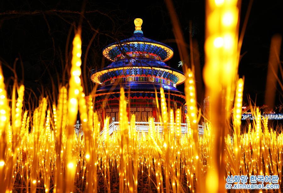 （国际）（5）中国彩灯点亮法国塞纳古堡