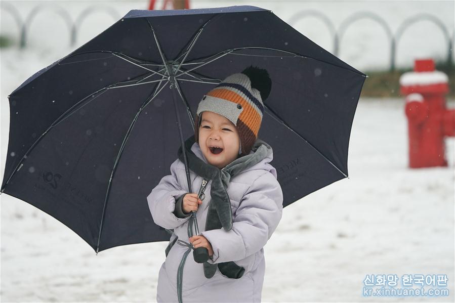 （社会）（3）京城雪趣