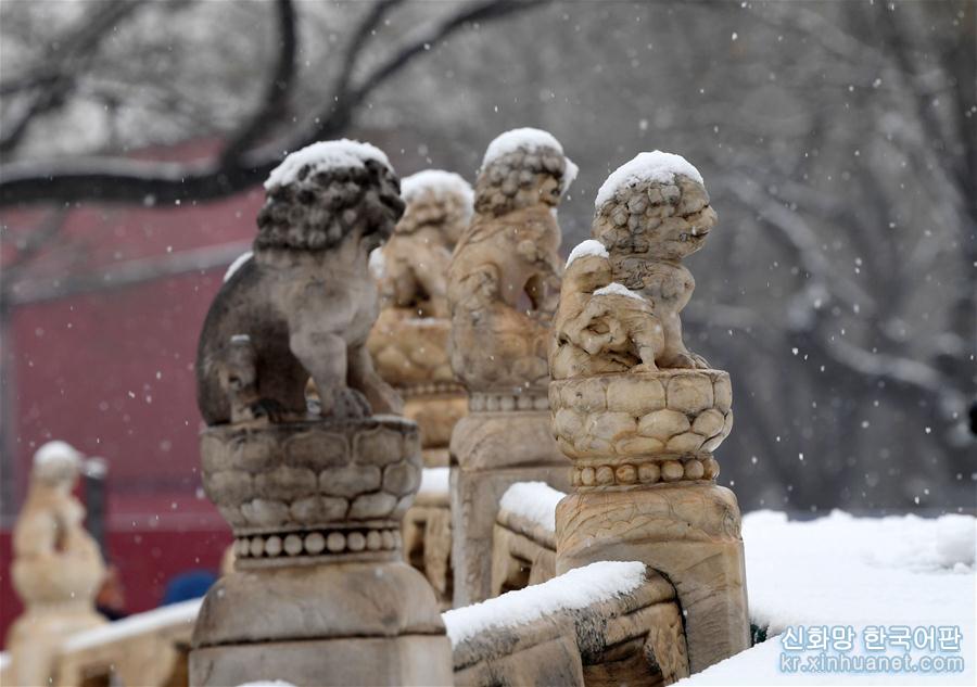 （社会）（10）京城雪趣