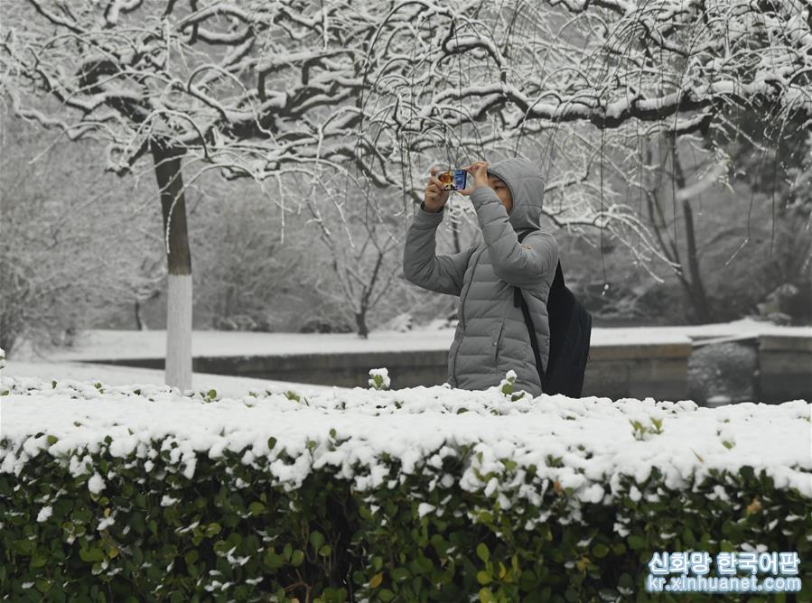 （社会）（6）北京降雪