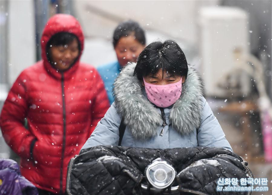 （社会）（8）北京降雪